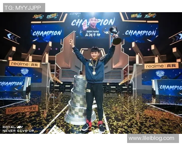 RNG逆袭之旅全纪录：王者荣耀背后的奋斗与荣耀