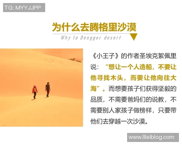 极限挑战与人生哲学：赵强的深度对话与运动探索之旅